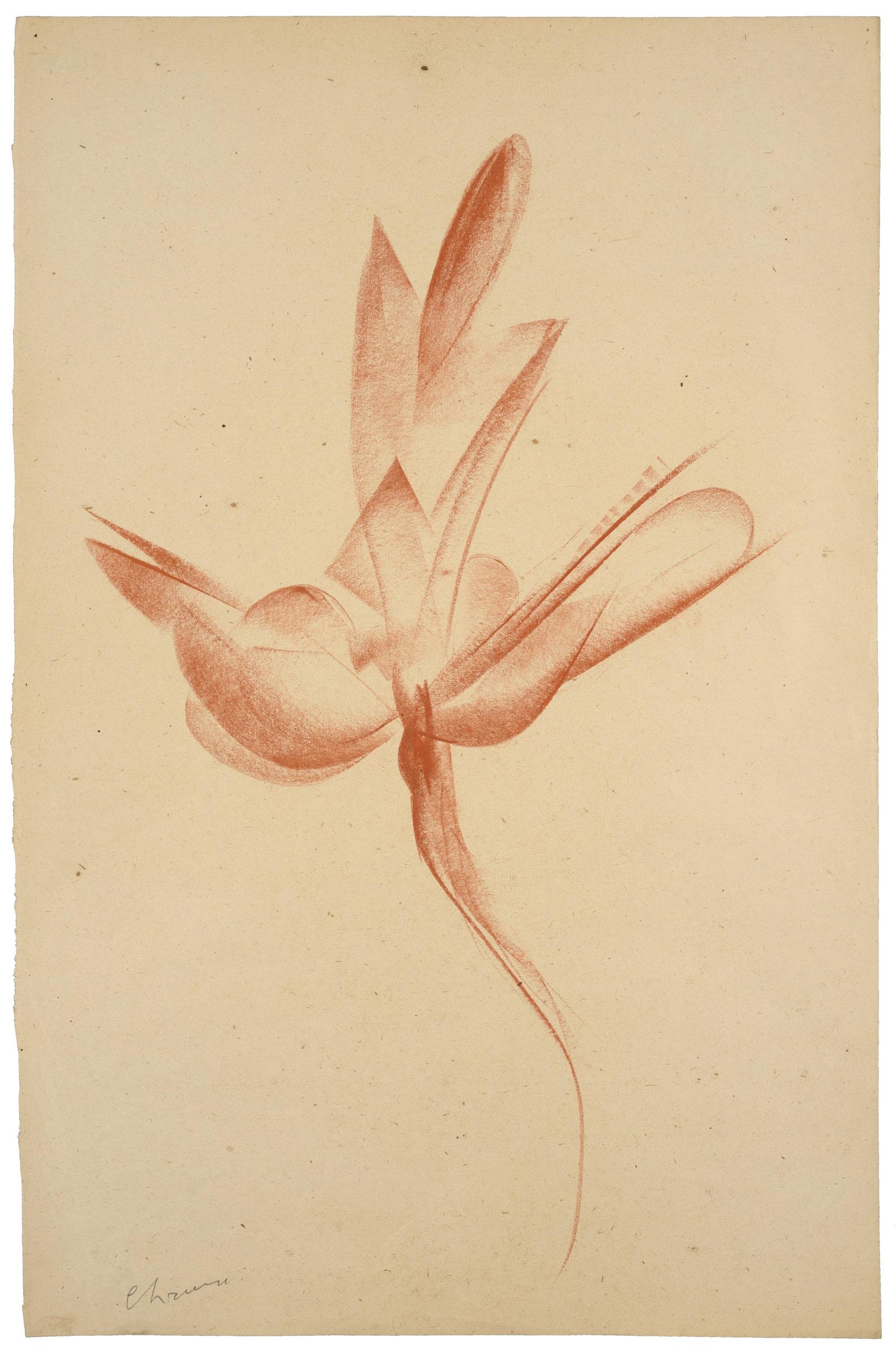 Dessins de Sculpteurs